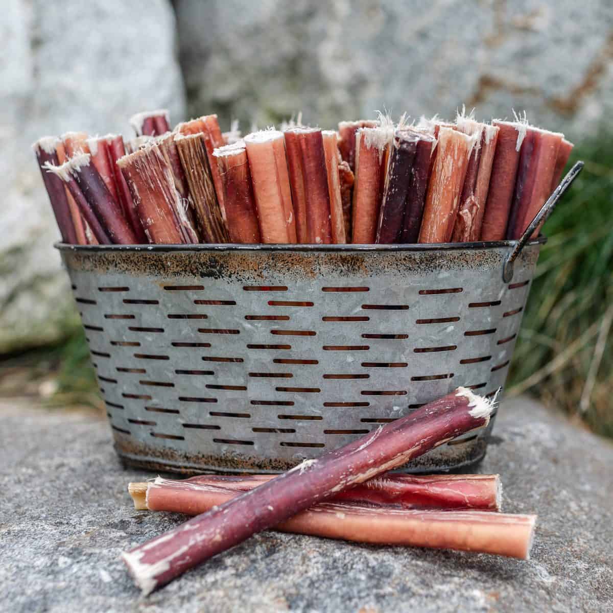 Six inch thick odor-free bully stick