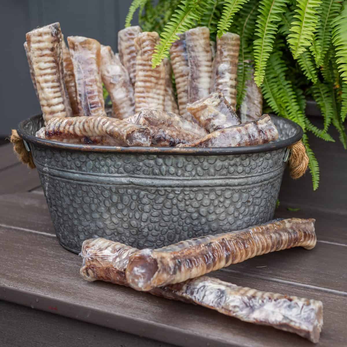 Twelve inch shrink-wrapped beef trachea chew