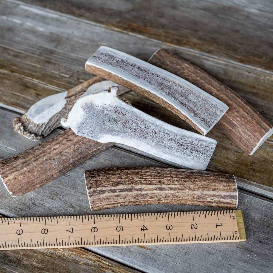 Elk Antler - Split