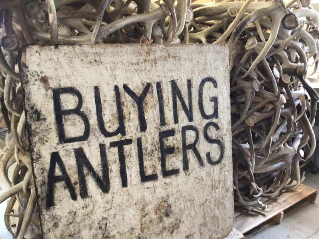 Sign that was first used in the late 1980s that Tony used to buy Antler on the side of the road for his father Don.