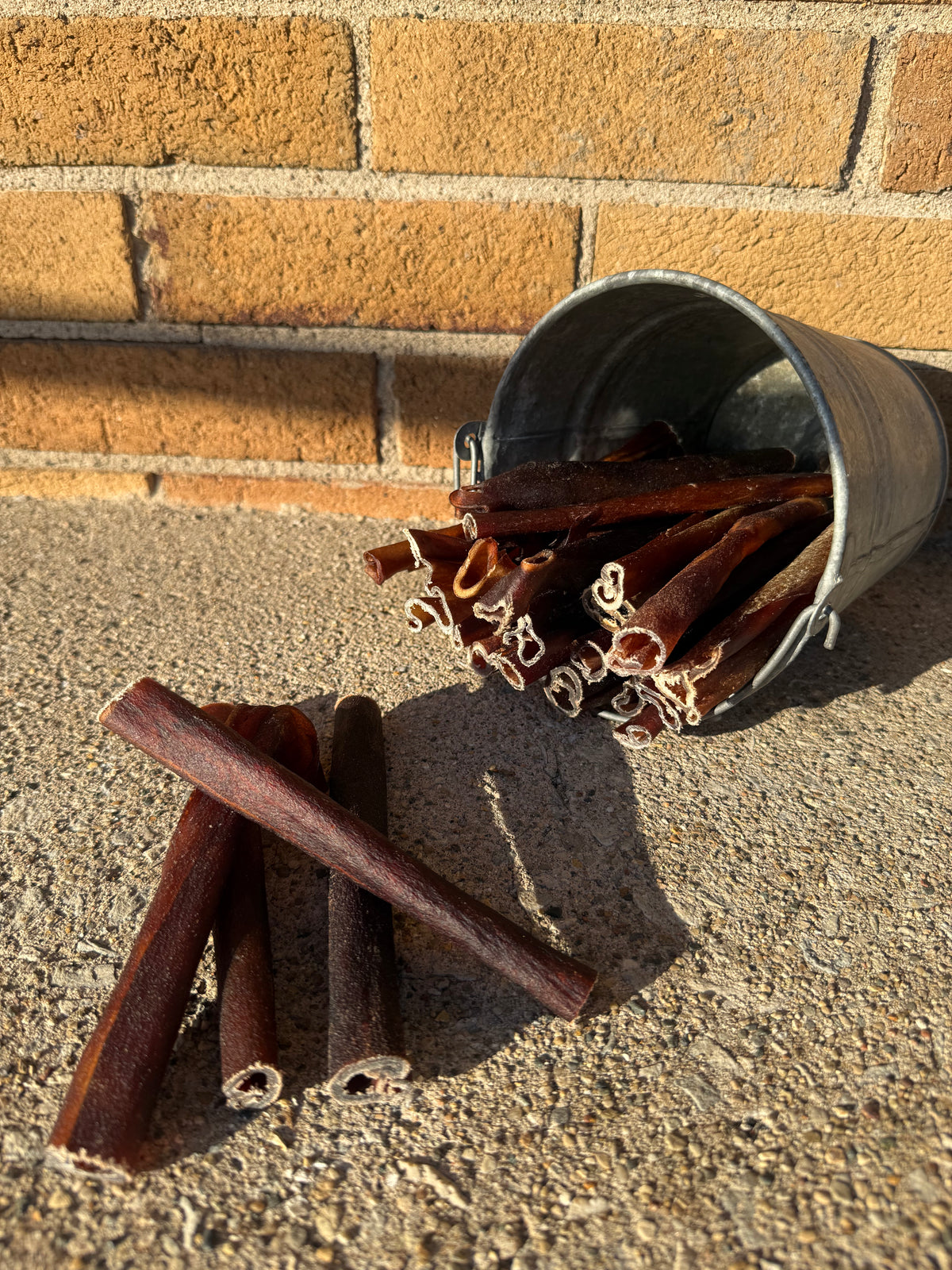 6" Plain Collagen Stick