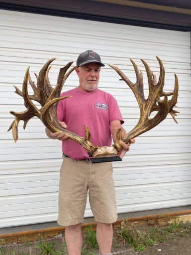 Tony compared to the World Record for a Whitetail Deer Antler from 1910 based out of Canada.