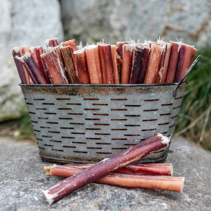 Six inch thick odor-free bully stick