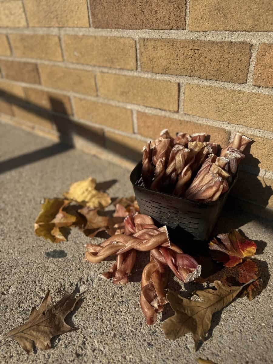 Six inch braided jumbo odor-free bully stick