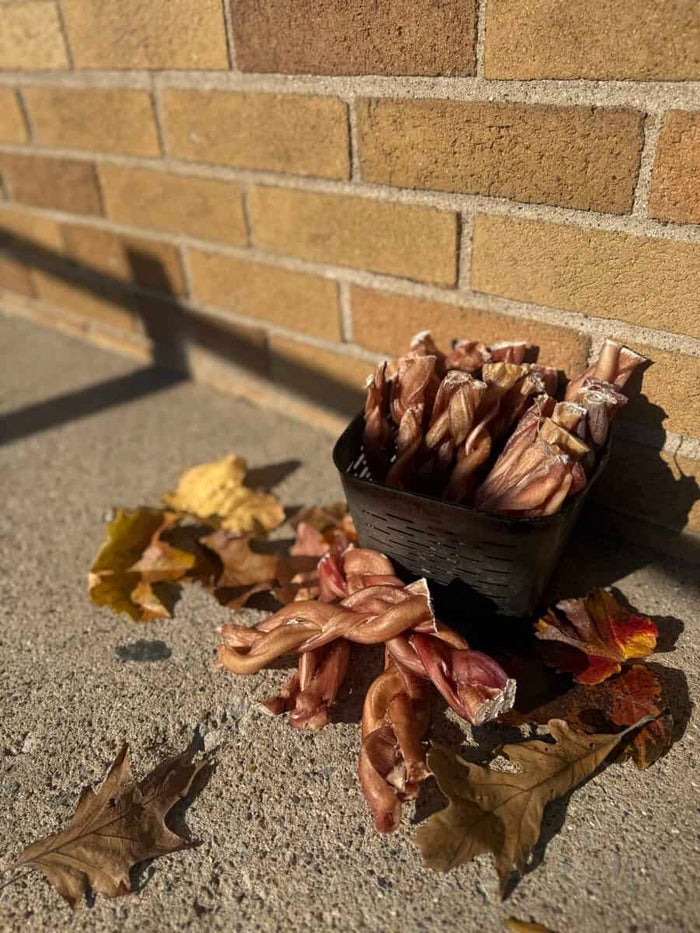 Six inch braided jumbo odor-free bully stick