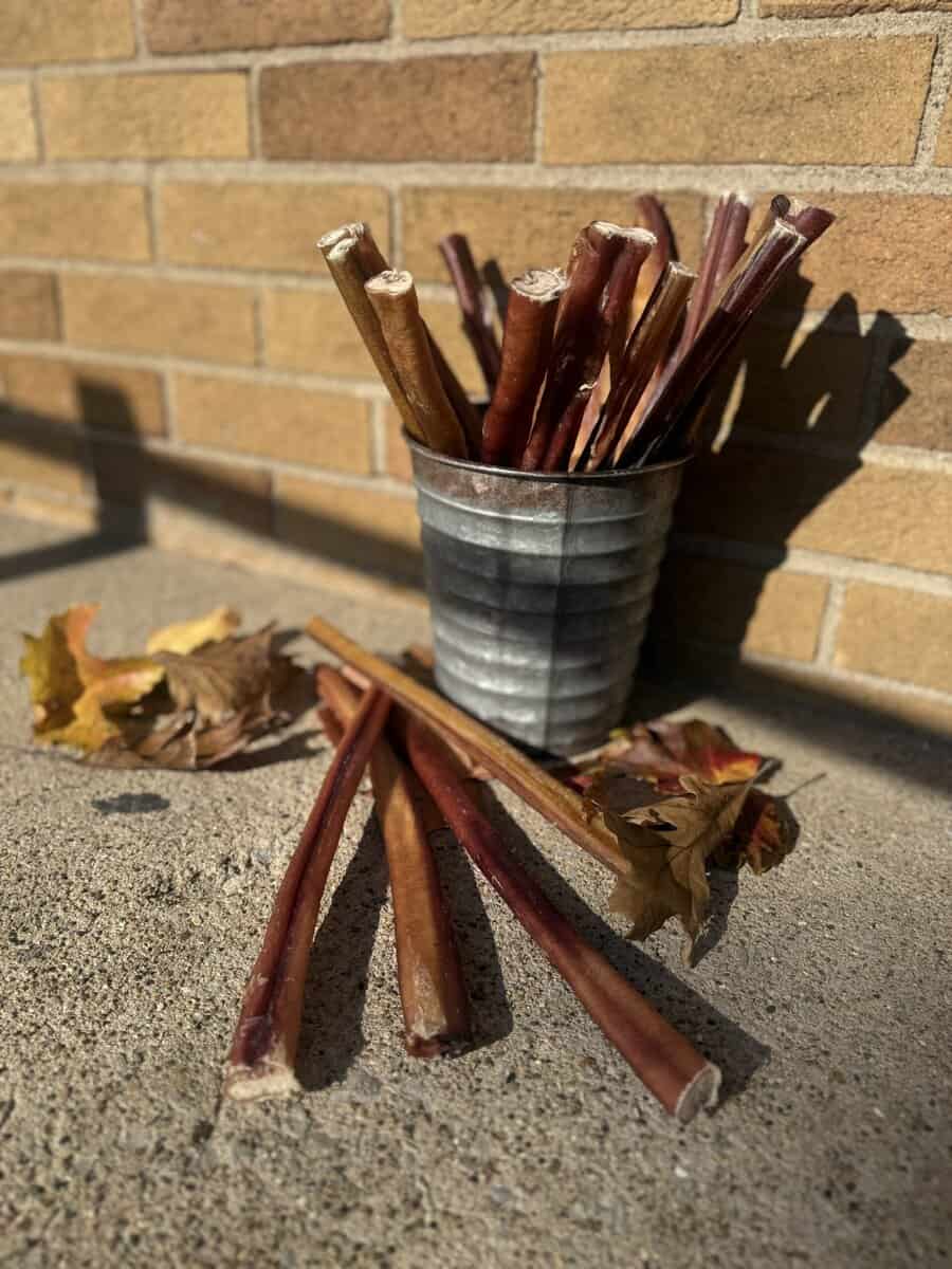 Twelve inch thick odor-free bully stick