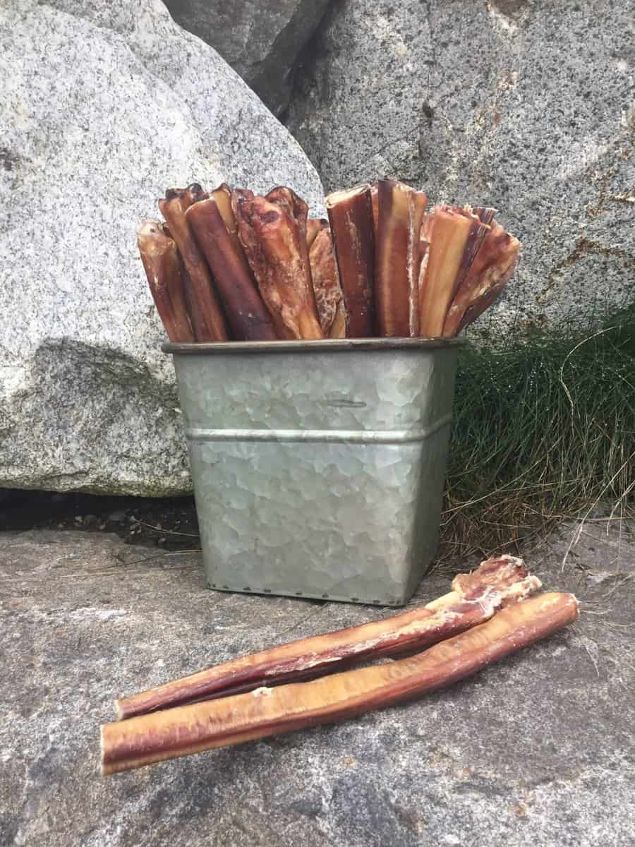Twelve inch super jumbo odor-free bully stick
