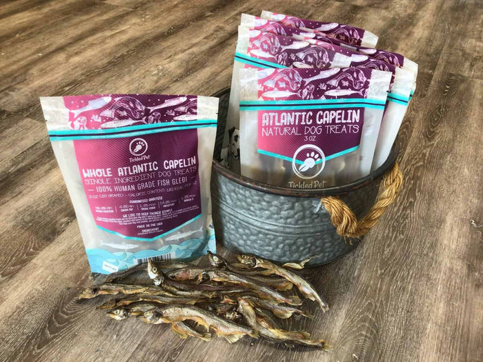 Whole air-dried Atlantic capelin fish treats