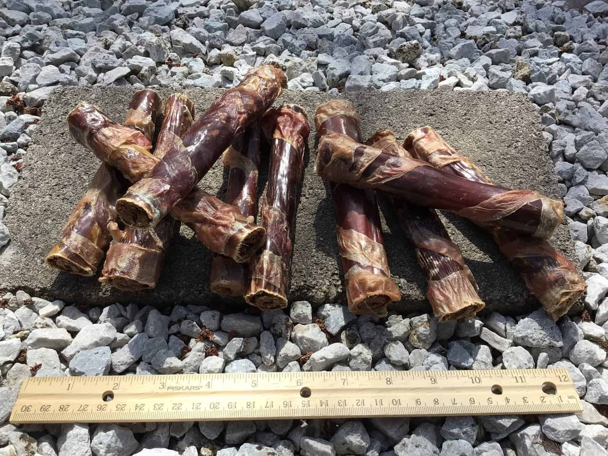 Six inch bladder-wrapped chewy bull