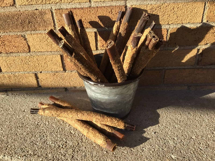 Twelve inch collagen stick with beef