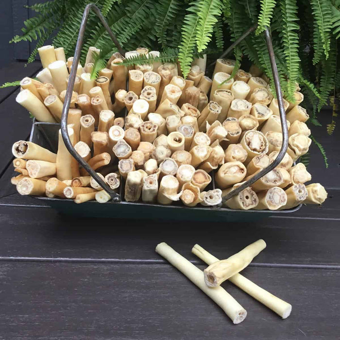 Small slow-baked beef cow tail chew