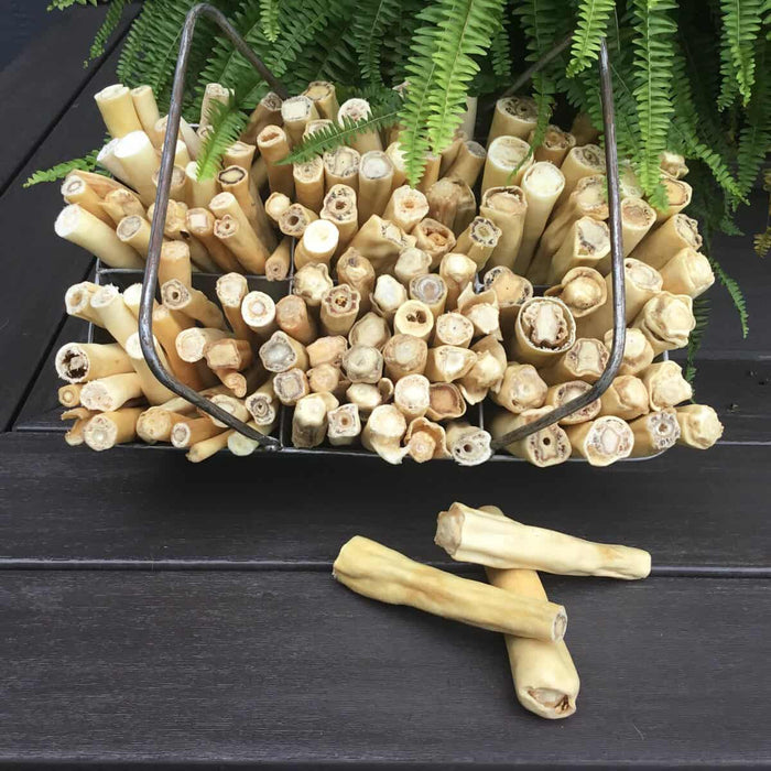 Medium slow-baked beef cow tail chew