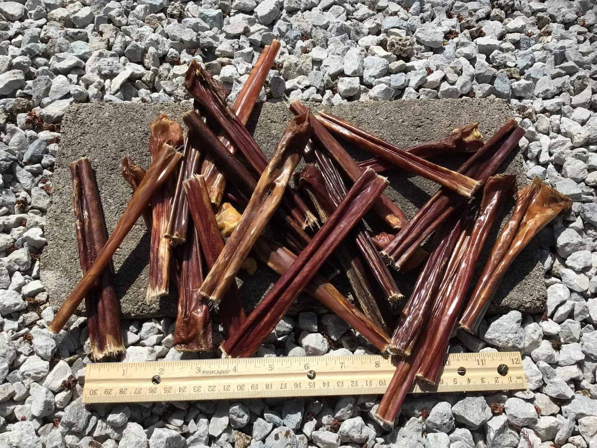 Six inch beef esophagus gullet stick