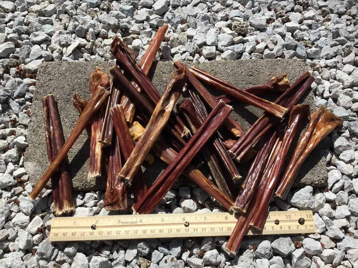 Six inch beef esophagus gullet stick