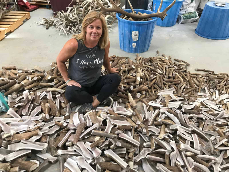 Jamie sitting among thousands of naturally shed elk antlers