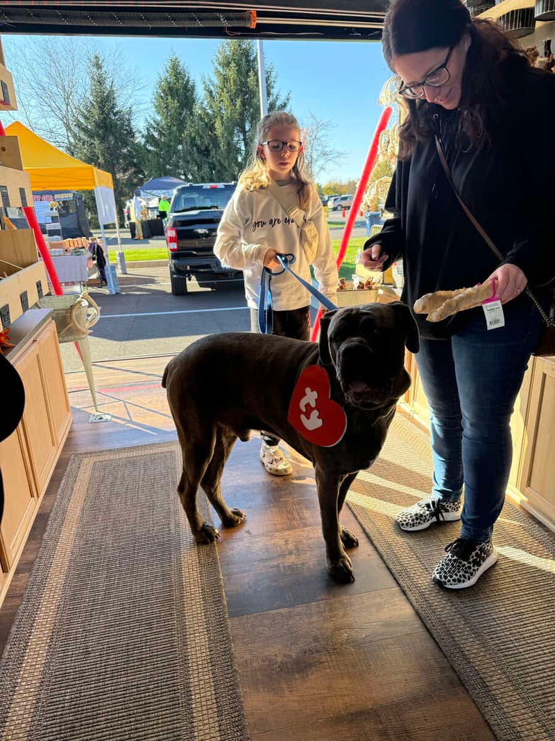 A customer's dog choosing a chew at the market table