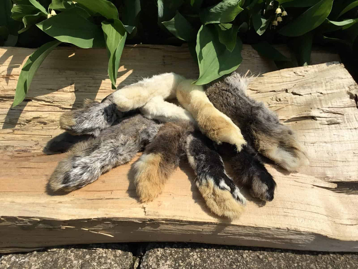 Dehydrated rabbit feet dog chew