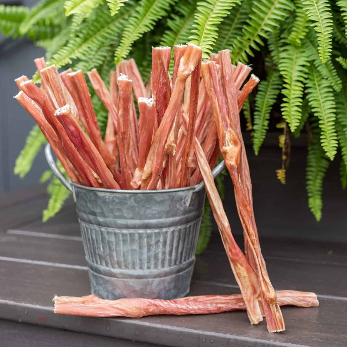 Twelve inch twisted beef bladder tough stick