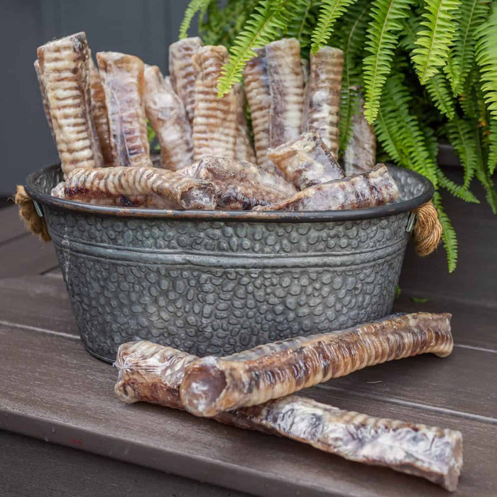 Twelve inch shrink-wrapped beef trachea chew